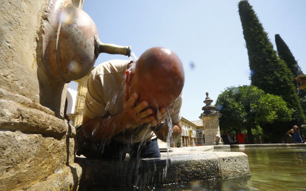 Córdoba. beeld EPA