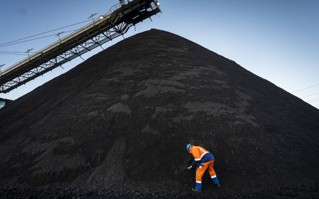 Steenkoolopslag bij de elektriciteitscentrale van RWE in de Eemshaven. beeeld ANP, Kees van de Veen