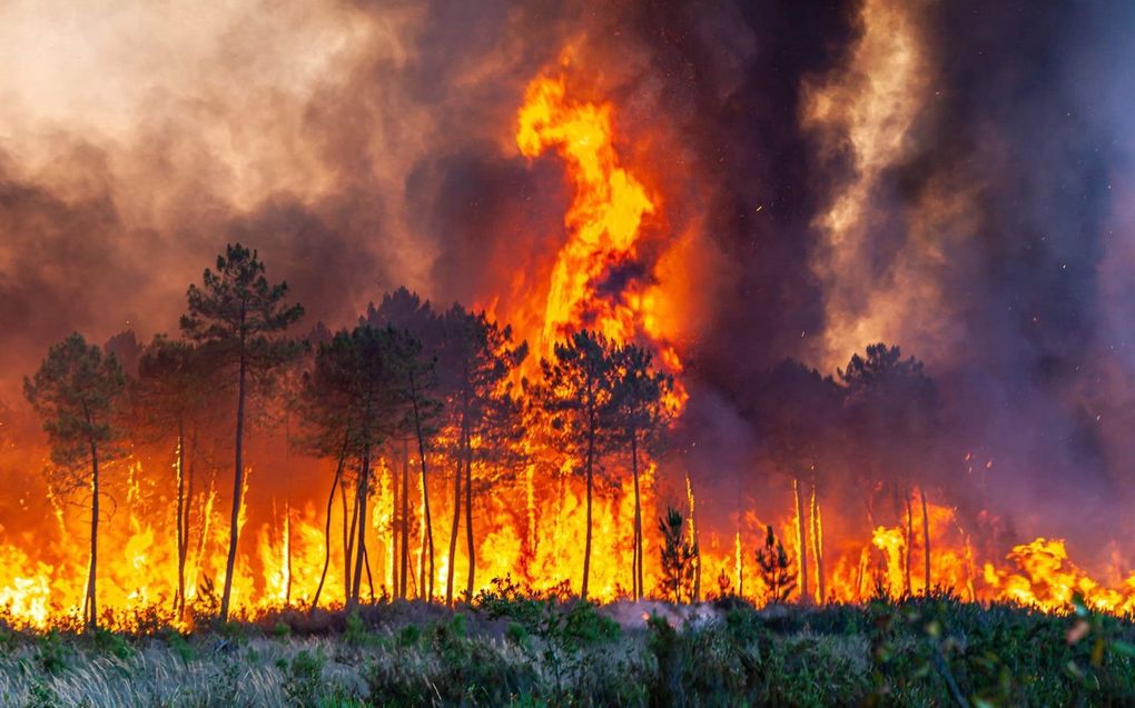 Bosbrand in Landiras. beeld EPA