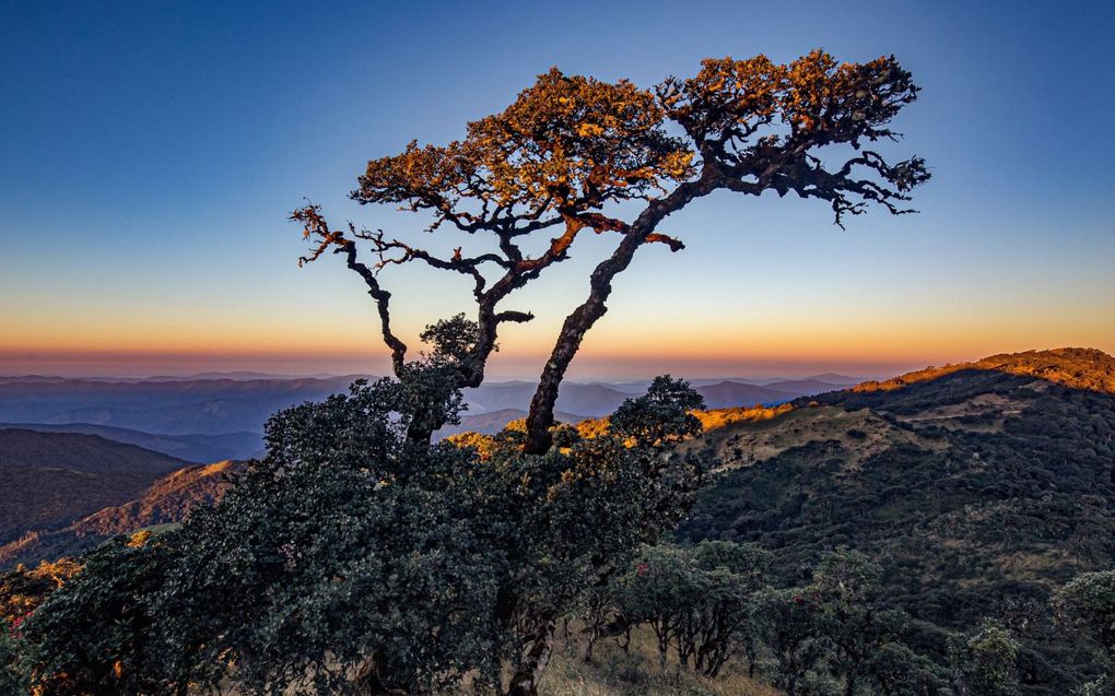 De Chin-regio in Myanmar. beeld Jacob Kaptein