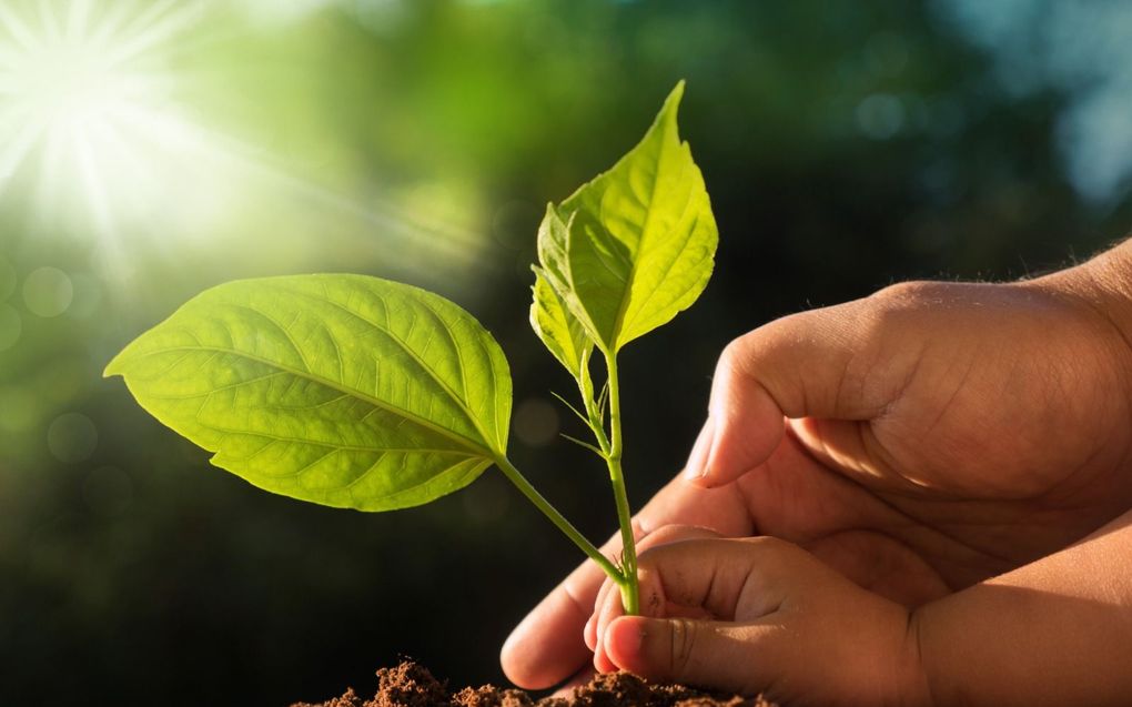 „Er is hoop dat deze wereld vernieuwd zal worden. Een nieuwe aarde (en hemelen) zonder crises waarop, naar Zijn belofte, gerechtigheid woont.” beeld iStock