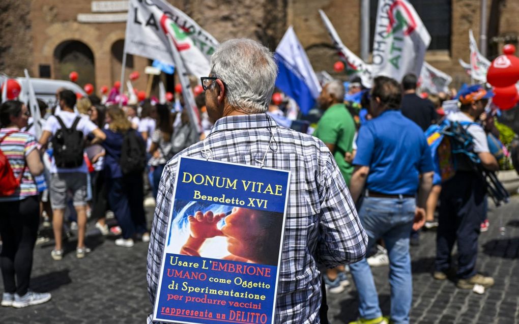 „Als je embryokweek toestaat voor één (nobel) doel, waarom dan niet voor andere doelen?” Foto: tijdens een prolifemars in Italië wordt onder meer geprotesteerd tegen embryogebruik voor onderzoek. beeld AFP, Alberto Pizzoli