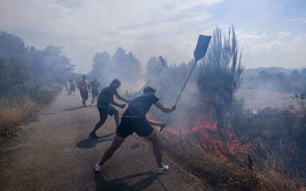 Mensen proberen het vuur van een bosbrand in Spanje te doven. beeld AFP, MIGUEL RIOPA