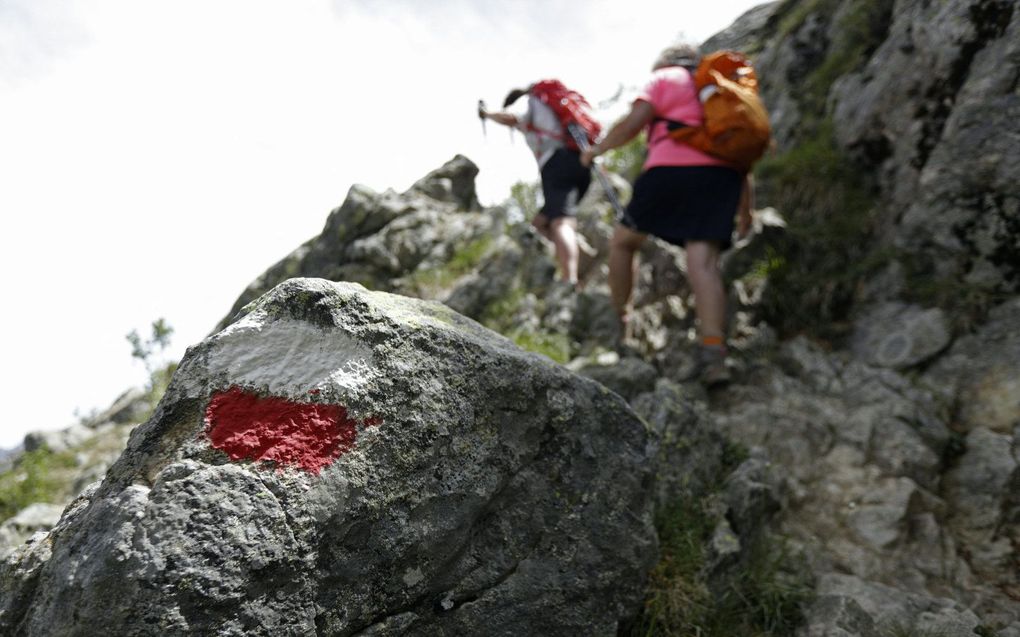 beeld AFP, Pascal Pochard-Casabianca