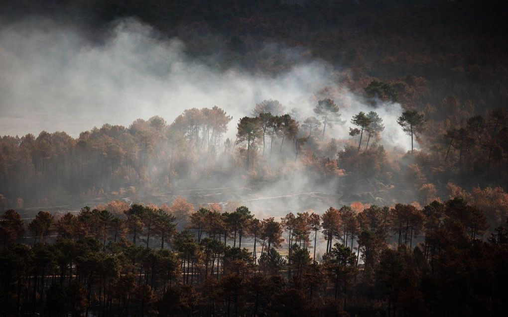 beeld AFP, Thibaud Moritz