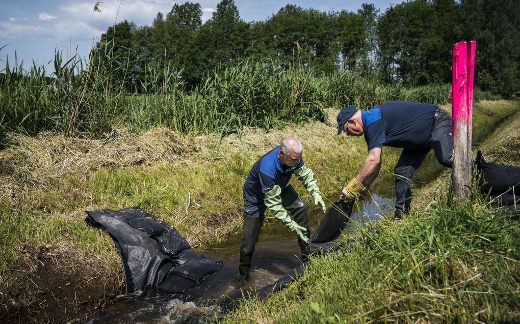 Met zandzakken wordt een dam gevormd in een snelstromende sloot in Meijel, op de grens van Noord-Brabant en Limburg. De dam houdt water tegen dat gebruikt kan worden bij de droogte. beeld ANP, Rob Engelaar
