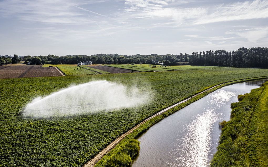 Een boer in Zeeland besproeit zijn gewassen. De aanhoudende droogte zorgt voor lage waterstanden en watertekorten. beeld ANP, REMKO DE WAAL