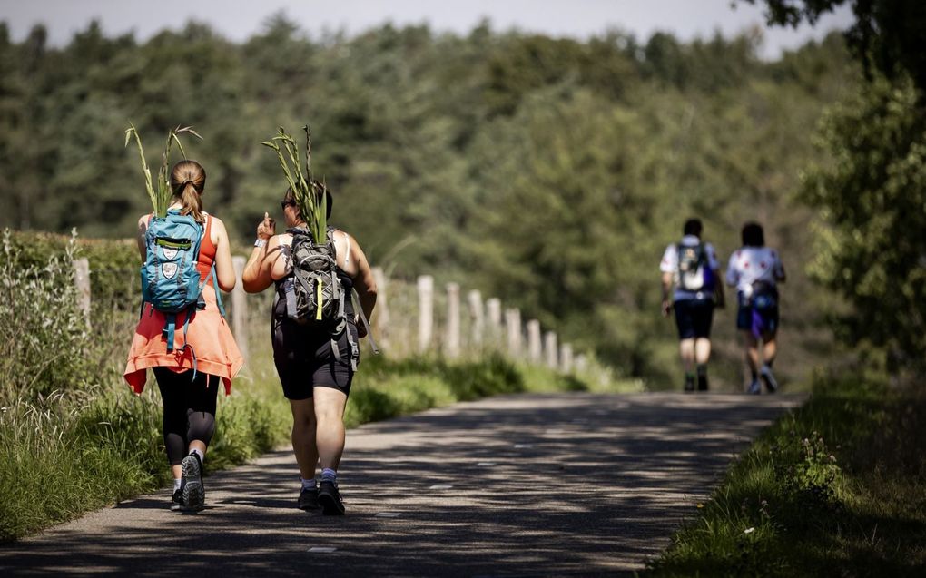 Nederlanders hebben het wandelen in coronatijd ontdekt. beeld ANP, Robin van Lonkhuijsen