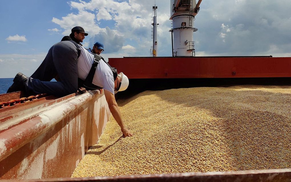 Eerder deze maand bereikte het eerste schip met maïs, een graansoort, Turkije. beeld AFP