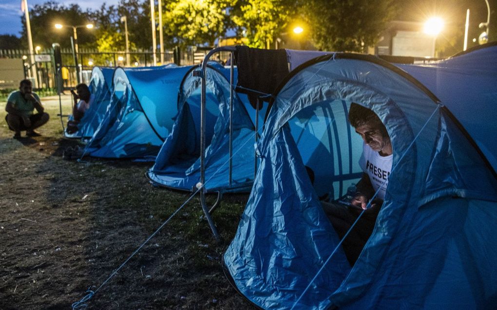 Tenten voor asielzoekers in Ter Apel. Ondernemers uit de provincie Groningen deelden de tenten uit, maar ze werden later weggehaald. beeld ANP, VINCENT JANNINK