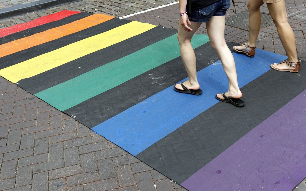 Regenboogzebrapad bij homomonument in Amsterdam. beeld ANP, Bas Czerwinski