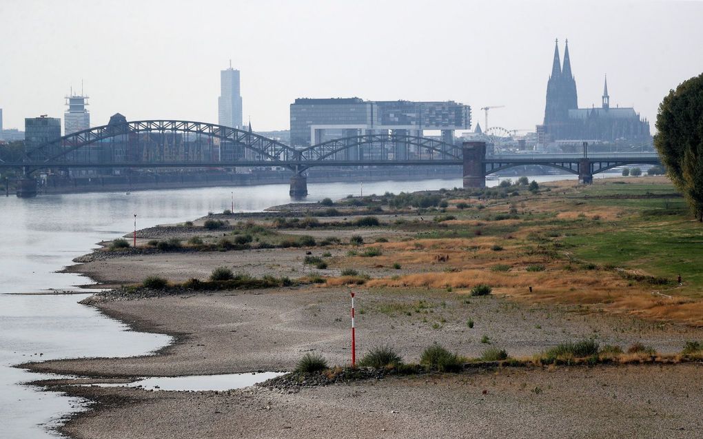 De Rijn bij Keulen, vorige week. beeld EPA, FRIEDEMANN VOGEL