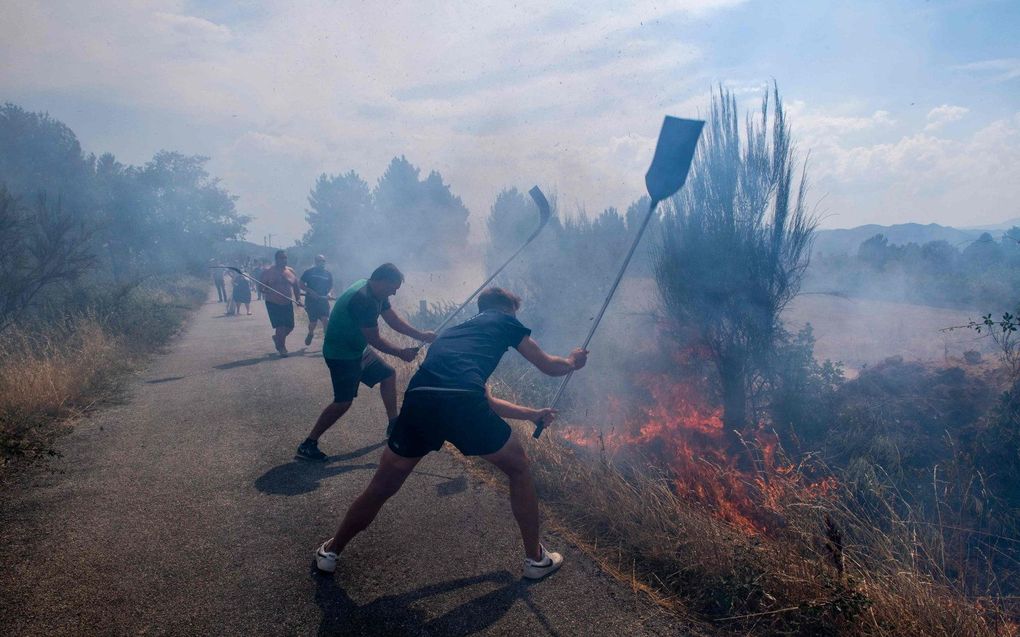 beeld AFP, Miguel Riopa