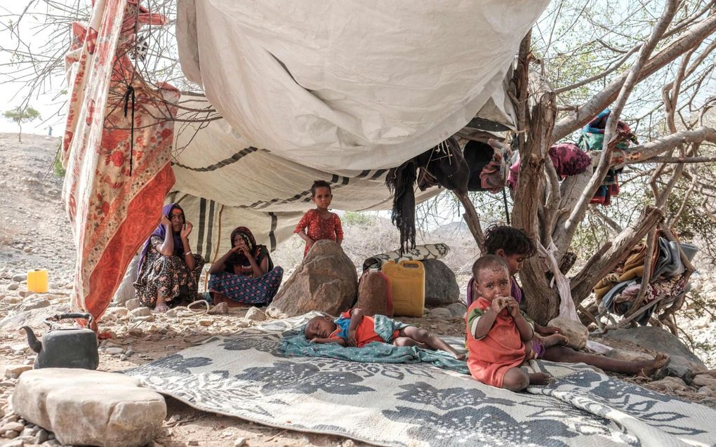 Ontheemden uit Tigray in een provisorisch kamp in Erebti, in de regio Afar, juni 2022. beeld AFP, Eduardo Soteras