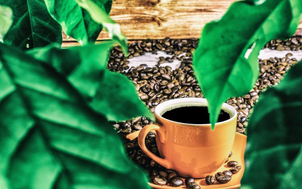 Een kop smakelijke pure koffie is voor menig Cubaan een zeldzaamheid geworden door de wegkwijnende koffiehandel in het land. beeld iStock