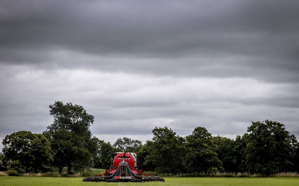 Mest uitrijden op grasland. beeld ANP, Koen van Weel