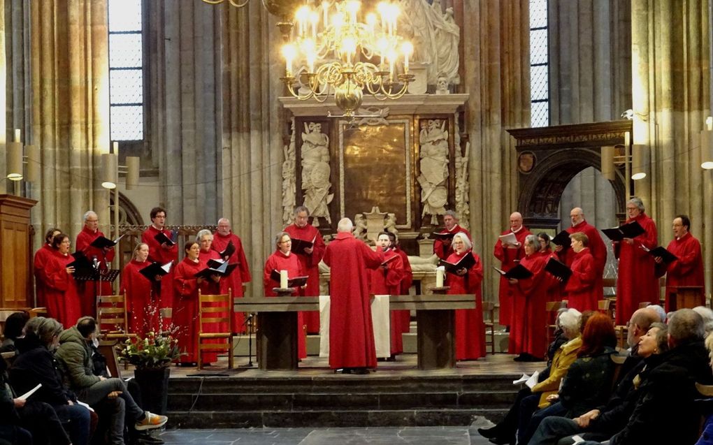 De Domcantorij. beeld Zaterdagmiddagmuziek Domkerk