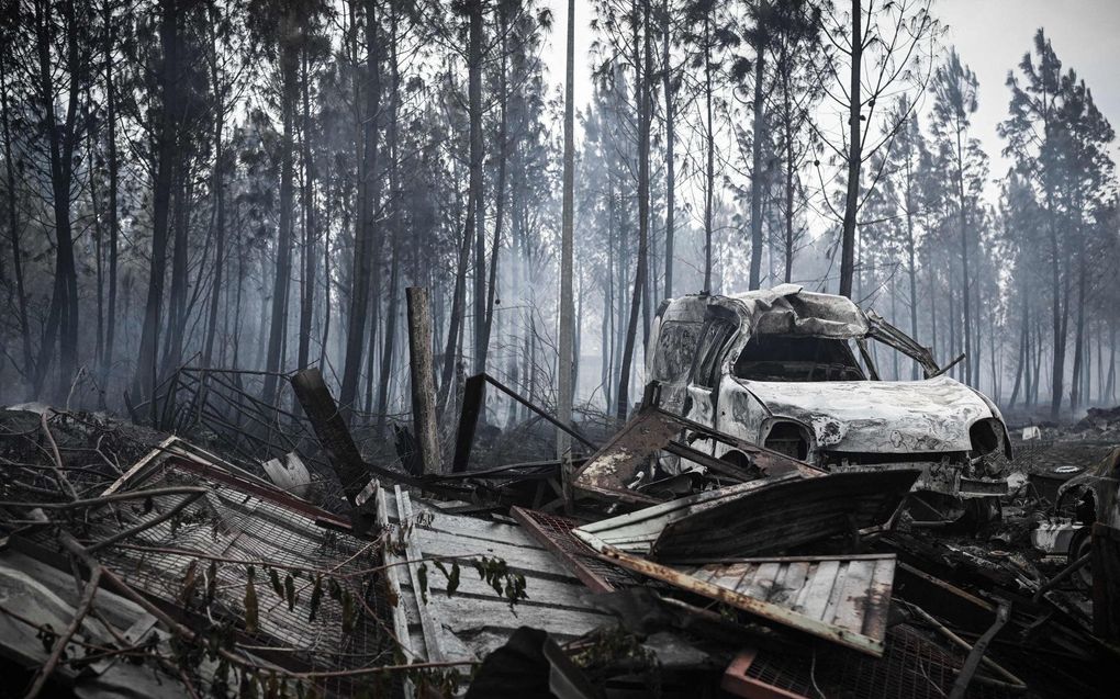 Saumos, ten westen van Bordeaux. beeld AFP, Philippe Lopez