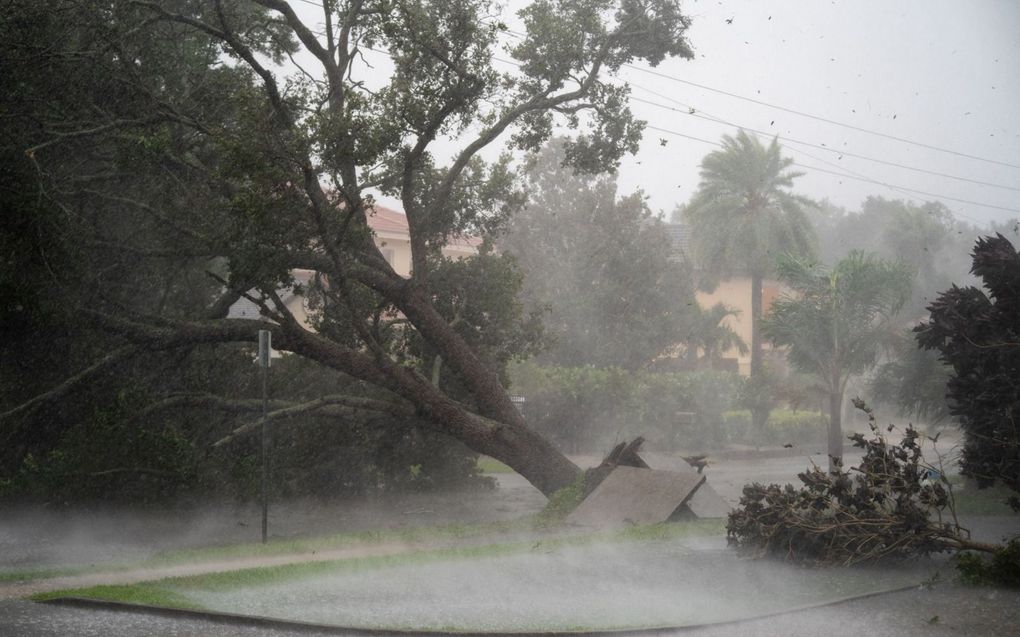 Een boom ligt woensdag ontworteld in Sarasota in de Amerikaanse staat Florida als gevolg van harde winden veroorzaakt door de orkaan Ian. beeld AFP, Sean Rayford