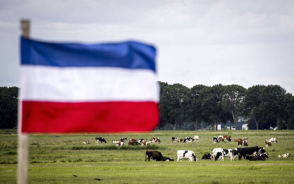 „Hoezeer de boeren een punt hebben, het is de vraag of het gestolen symbool van de ondersteboven hangende vlag niet net zo verwerpelijk is als bepaalde acties die ronduit gevaarlijk waren.” beeld ANP, Remko de Waal