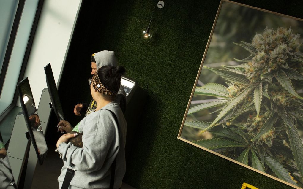 Klanten van aan apotheek in New Jersey bestellen medicinale cannabis. beeld AFP, Kena Betancur