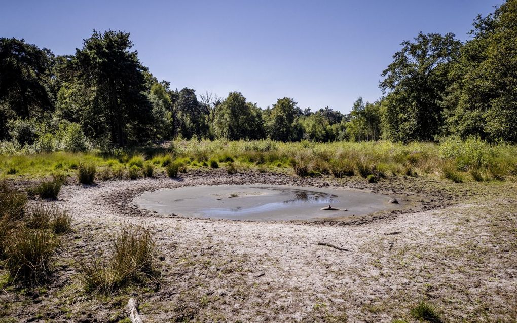 „Een stabiel klimaat helpt om de natuur in stand te houden. Zie de gevolgen van de droge jaren voor de Nederlandse natuur.” beeld ANP, Sem van der Wal