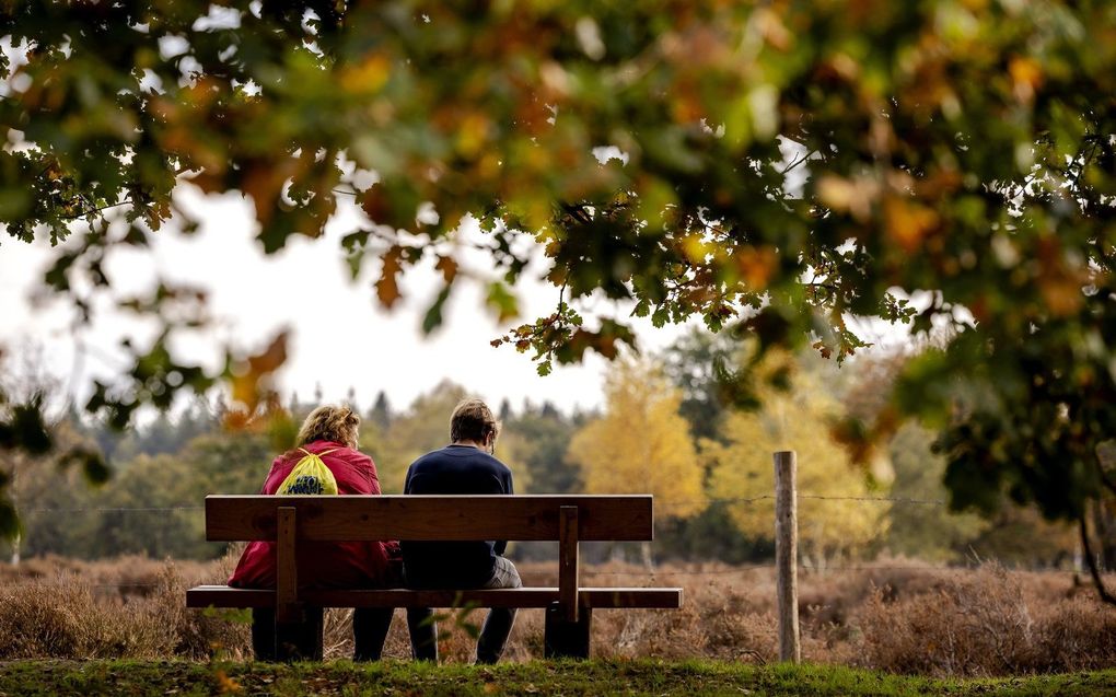 Wandelaars genieten bij Lage Vuursche van het warme herfstweer. beeld ANP, Robin van Lonkhuijsen