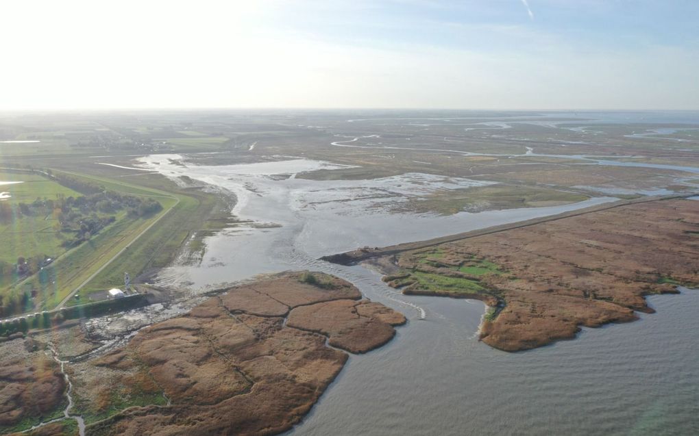 Het eerste zoute water stroomt de polder in. De zwaar omstreden ontpoldering van de Hedwige- en Prosperpolders is begonnen. beeld BOVS