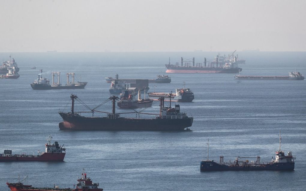 Vrachtschepen met Oekraïens graan liggen voor anker terwijl ze in de rij wachten voor de inspectie op de Zee van Marmara bij Istanbul in Turkije. beeld EPA, Erdem Sahin