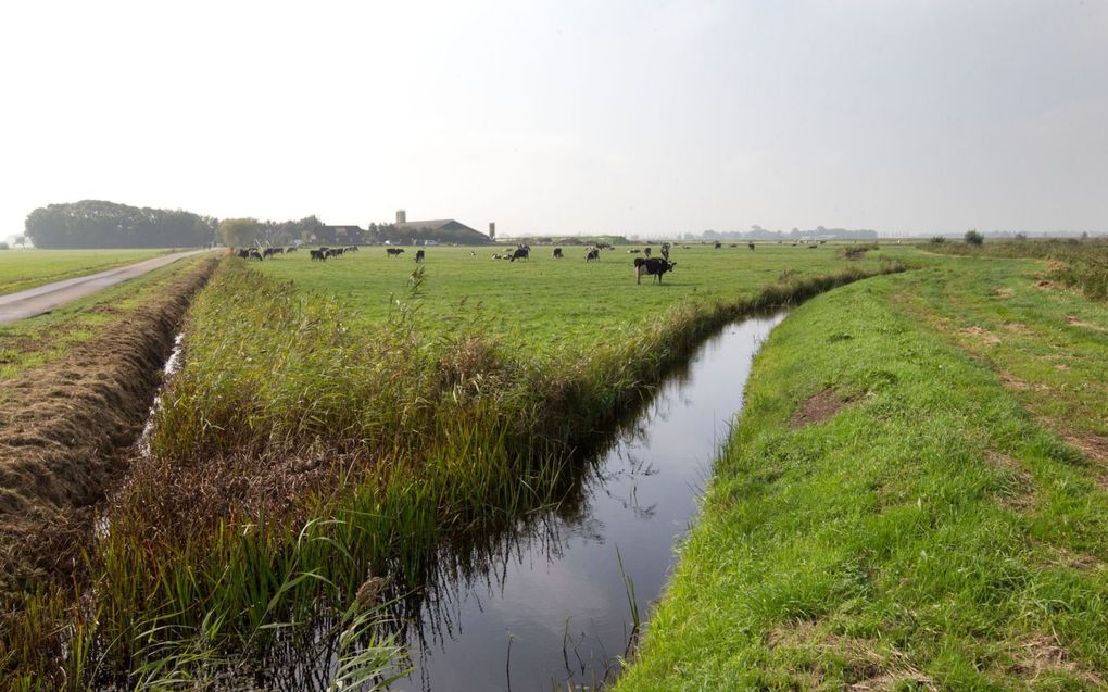 Het Overijsselse buurtschap Nederland in het nationaal park De Weerribben. De provincie is door de rechter gedwongen om te handhaven bij boeren zonder natuurvergunning. beeld RD, Anton Dommerholt