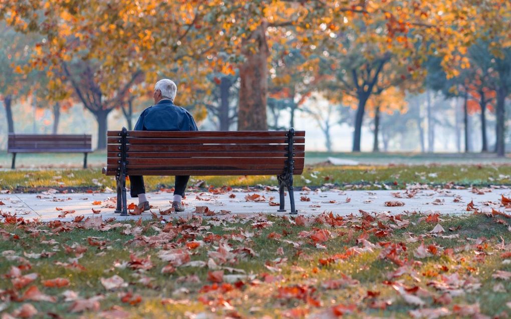 beeld iStock