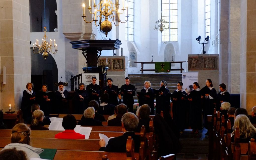 Het Haagse Hongaarse Koor zong zaterdag in de Utrechtse Pieterkerk werken van onder andere de Hongaarse componist Zoltán Kodály. beeld Gerrit van Dijk
