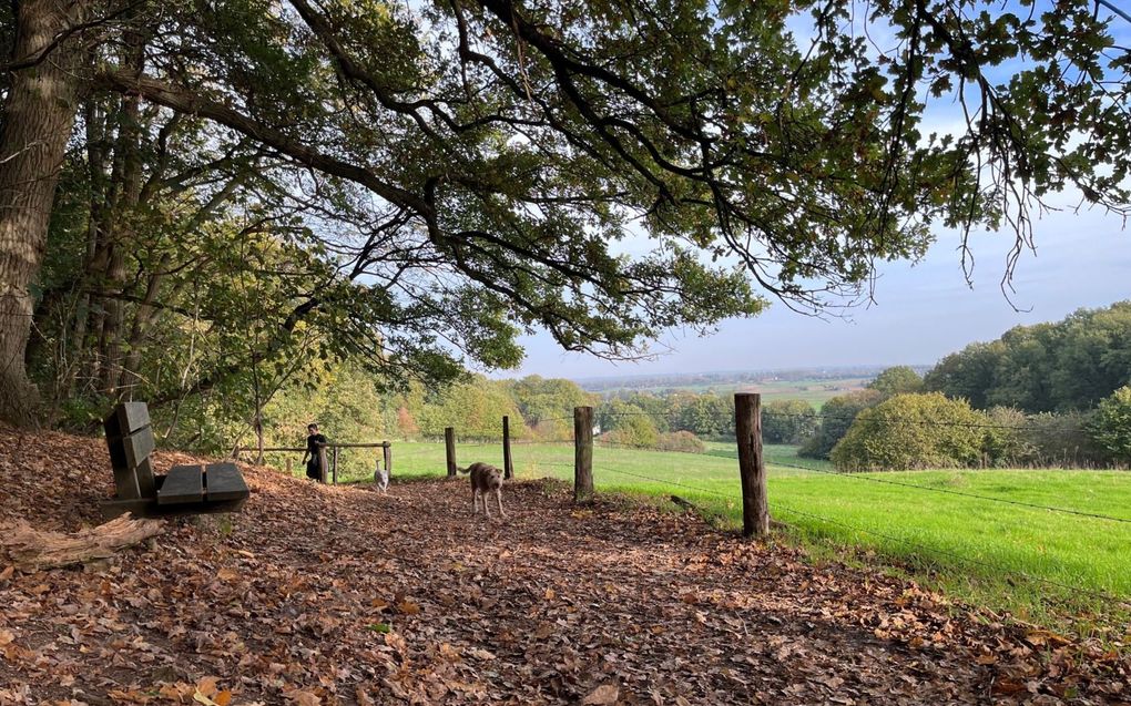 Wandeling N70 bij Nijmegen. beeld RD