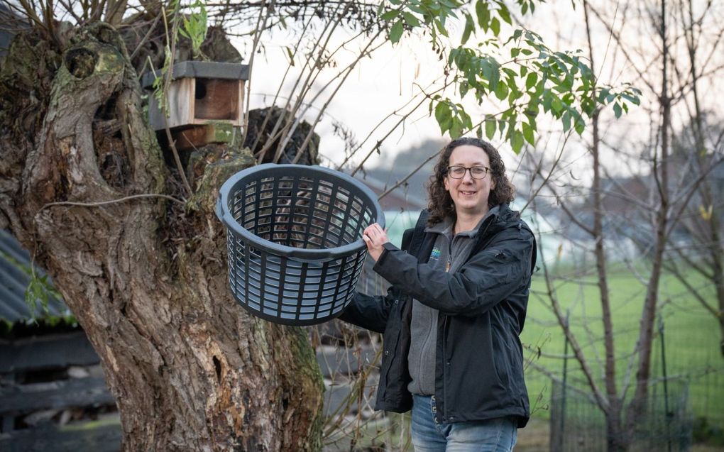 Coördinator Saskia Bremer van Stichting Landschapsbeheer Gelderland in Ederveen waar de drinkbakken donderdag werden uitgedeeld.  beeld Niek Stam