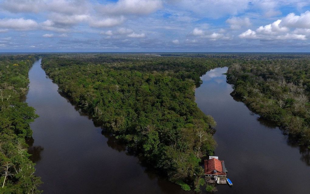 Het Amazonegebied. beeld AFP, Mauro Pimentel