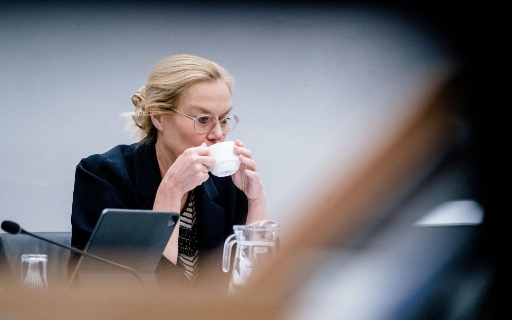 Minister Sigrid Kaag van Financiën. beeld ANP, Bart Maat