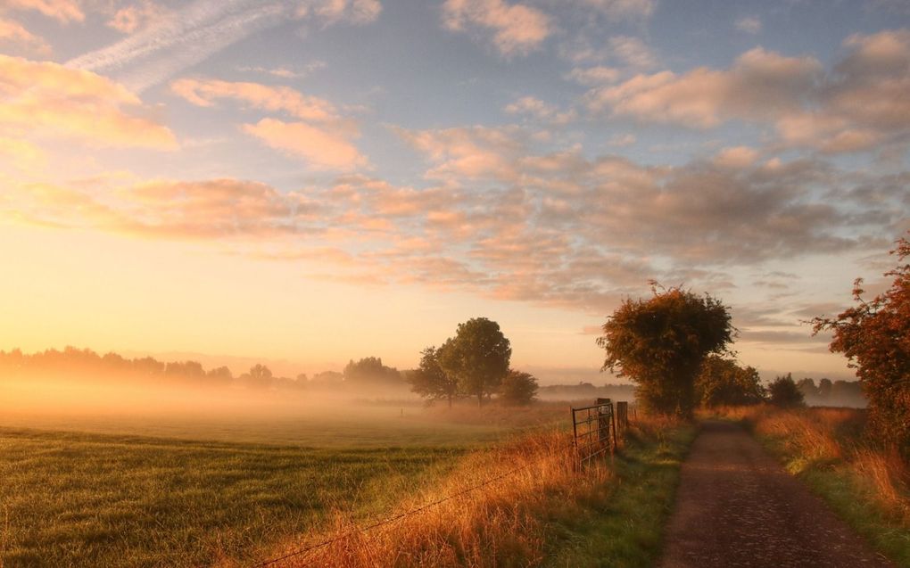 Deze foto is begin oktober genomen in de uiterwaarden bij Wijk en Aalburg. Door de nevel over de weilanden laat het al een vleugje herfst zien. beeld Margareth Rozendaal