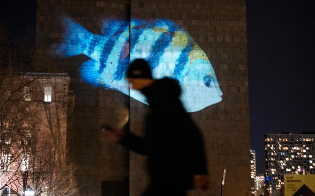 Een voetganger loopt langs de lichtprojectie van het Wereld Natuur Fonds op een muur in het Palais de Justice in Montreal, Canada. beeld AFP, Andrej Ivanov