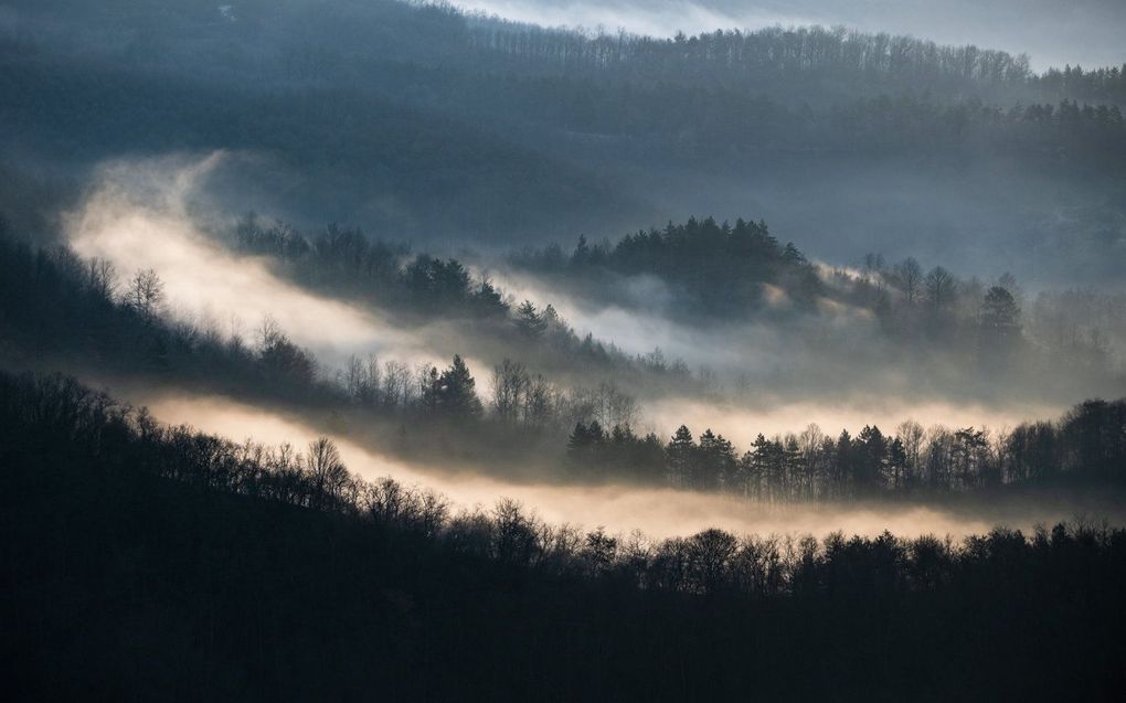 Mist blijft hangen boven het landschap in de buurt van Salgotarjan in het noorden van Hongarije. beeld EPA, Peter Komka