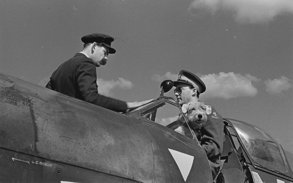 Prins Bernhard –met zijn onafscheidelijke hondje Martin– tijdens een bezoek aan het Nederlandse Spitfire-squadron op een RAF-basis in Engeland. beeld Wikimedia