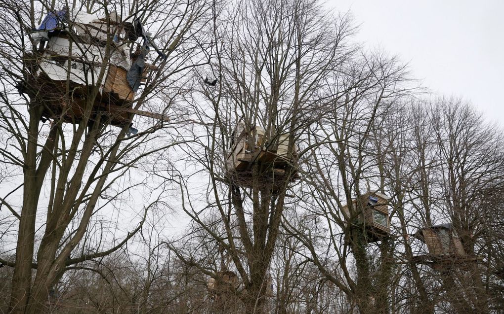 Boomhutten als protest. beeld EPA, RONALD WITTEK