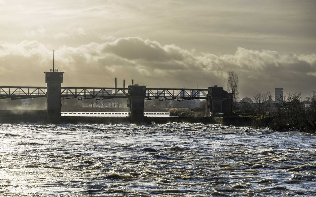 Een verhoogde waterstand in de Maas bij Borgharen. beeld ANP, MARCEL VAN HOORN