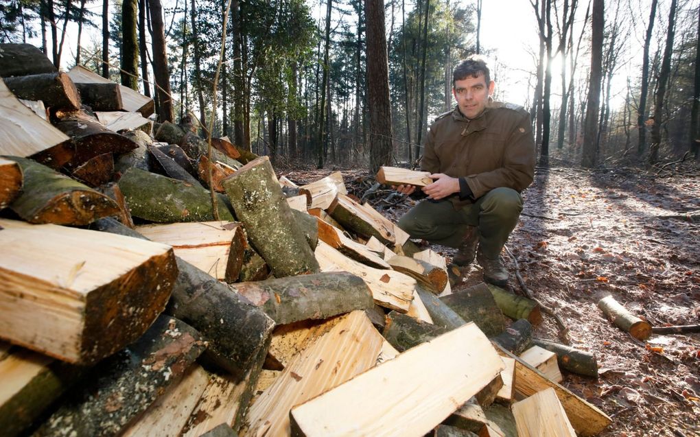 Bosgebied Middachten telt tientallen soorten loof- en naaldbomen.  beeld VidiPhoto