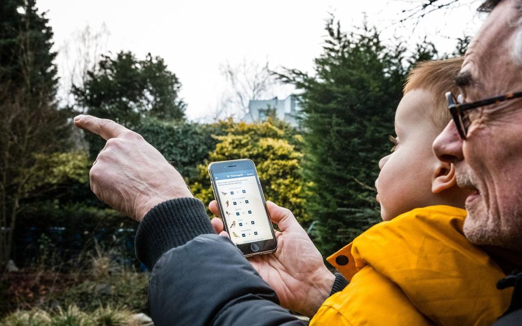 Vogels tellen met de app van de stichting Vogelbescherming Nederland. beeld ANP, ROB ENGELAAR