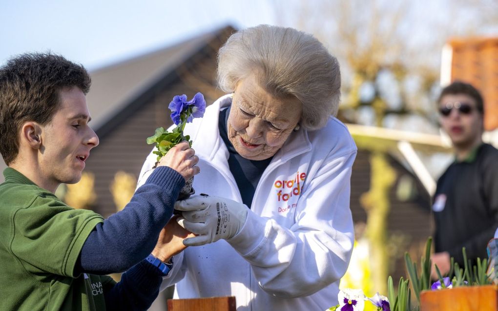 Elk jaar steekt prinses Beatrix de handen uit de mouwen tijdens NLdoet. beeld ANP, Frank van Beek