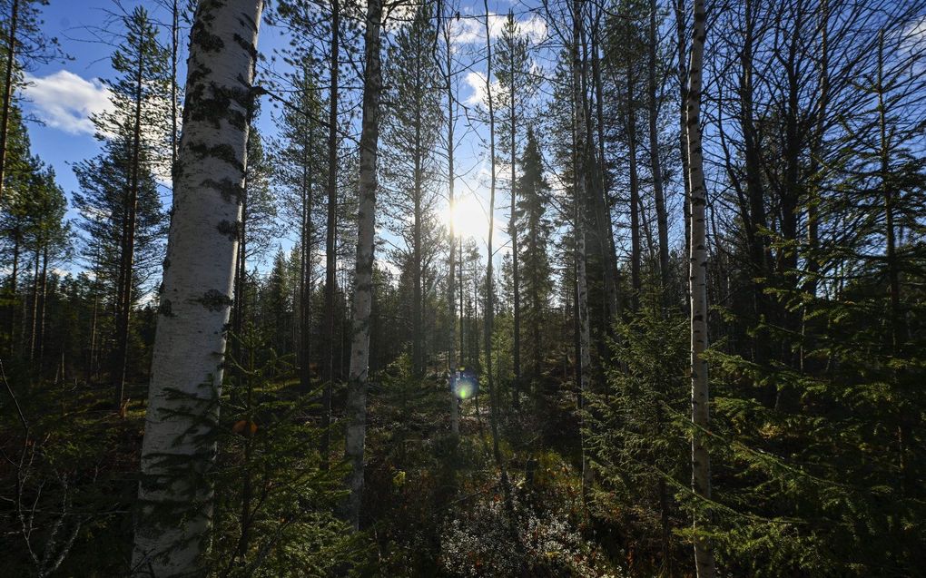 Alaska. beeld AFP, Olivier MORIN