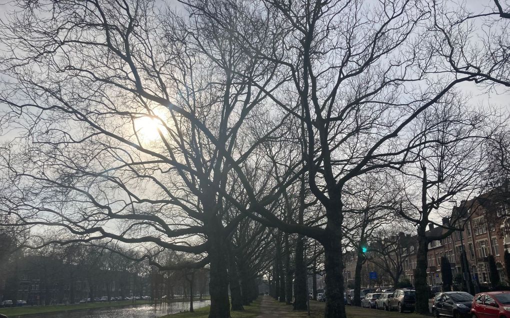 beeld Geertje Bikker-Otten