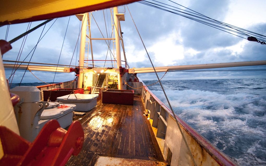 Nog dit jaar mogen kotters niet meer met bodemberoerend vistuig vissen in 13,7 procent van de Nederlandse Noordzee. beeld Cees van der Wal