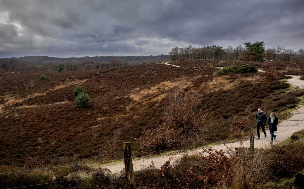 beeld ANP, ROBIN VAN LONKHUIJSEN