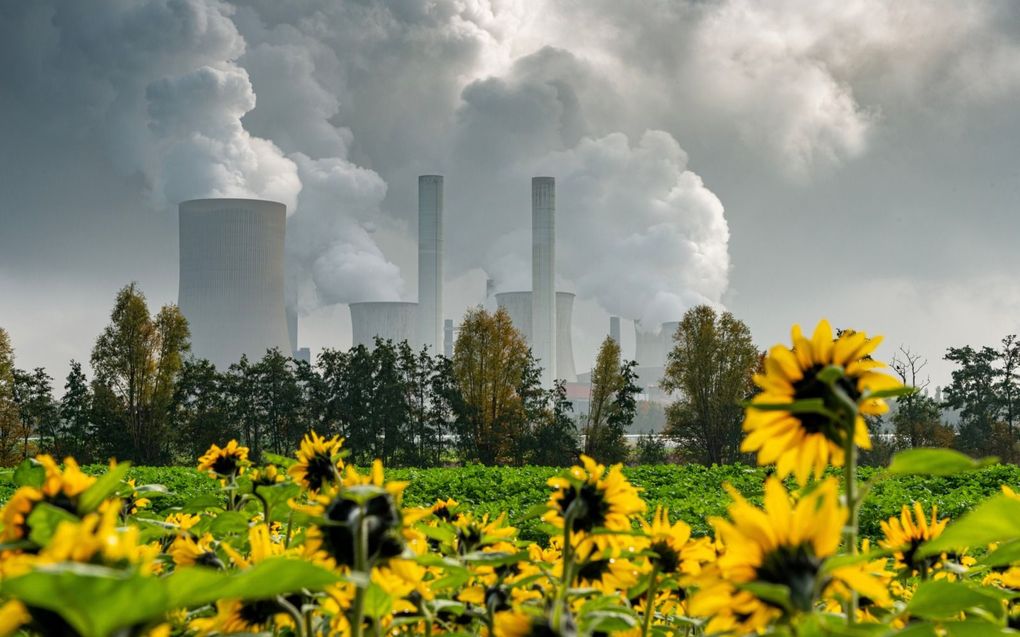 „Wie zweert bij de vrijemarkteconomie neemt voor lief dat de grenzeloze groei van grote conglomeraten ecosystemen bedreigt en ongelijkheid bevordert.” beeld iStock